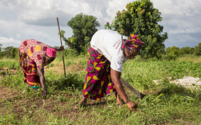 Nova presentació en format vídeo de la tasca d’ASL al Senegal.