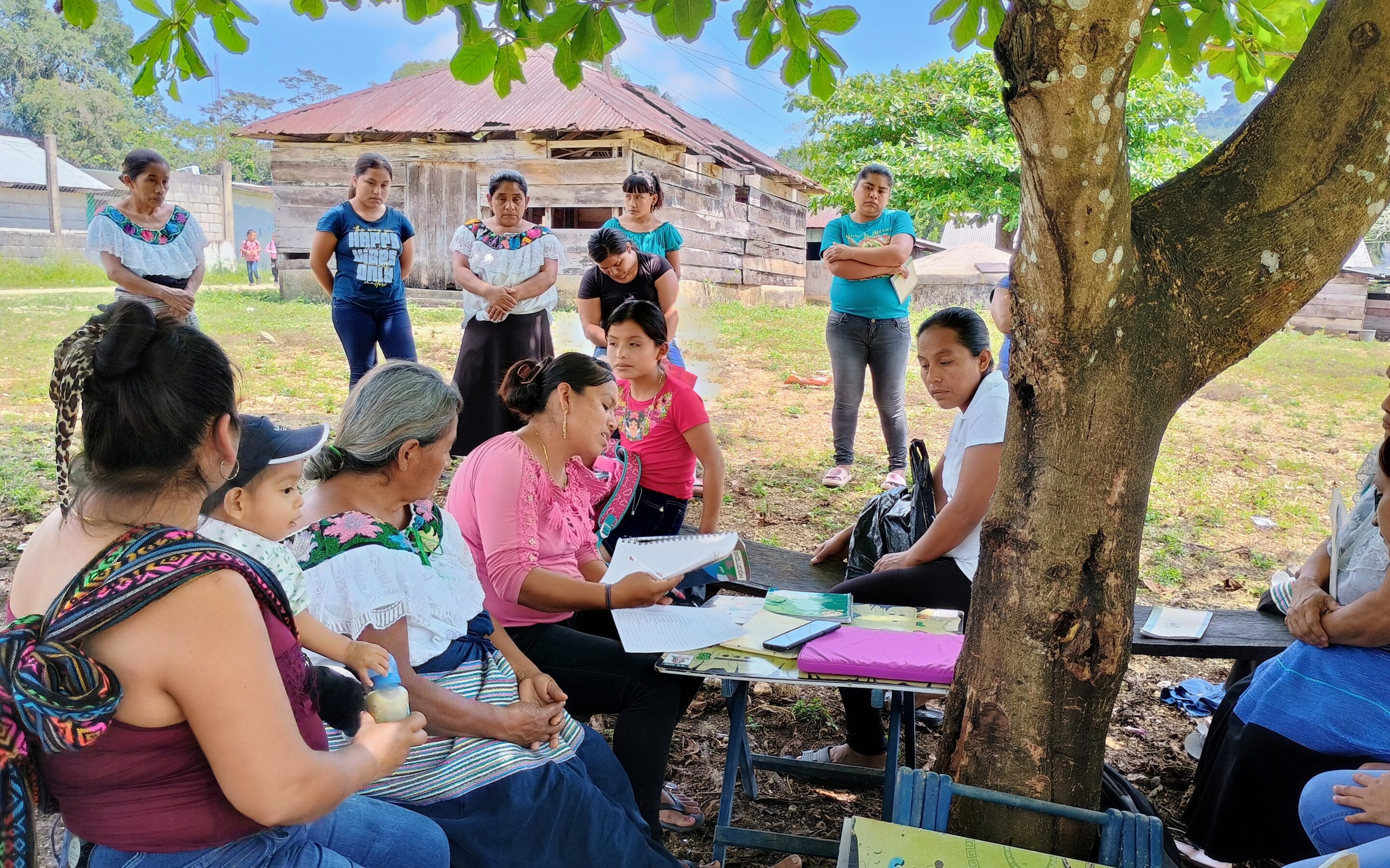 Resiliència econòmica en la Selva de Mèxic: 14 dones Tseltals emprenen