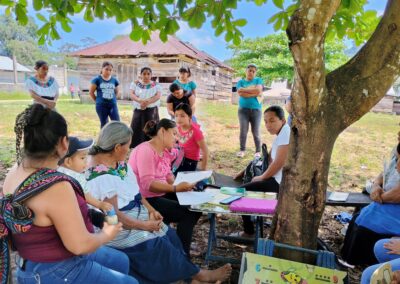 Resiliència econòmica en la Selva de Mèxic: 14 dones Tseltals emprenen
